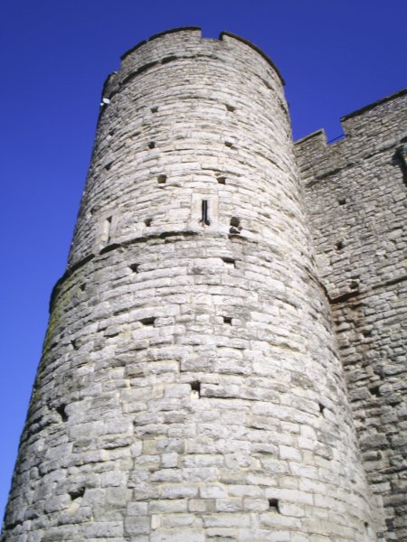 pic_0013.jpg
